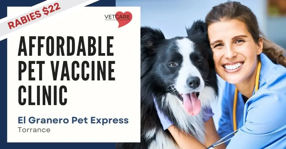 Affordable Pet Vaccine Clinic - El Granero Pet Express
