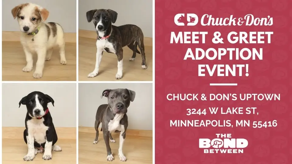 Chuck & Don's Uptown Meet & Greet Adoption Event