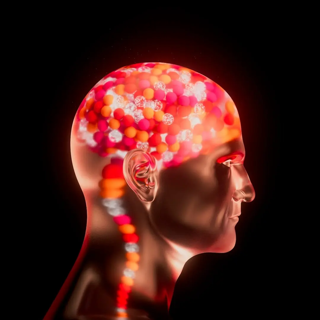 Ageing Gracefully: Understanding the Science Behind Longevity
