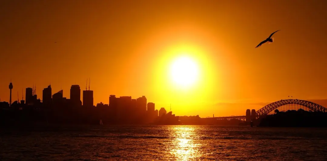 🌅 [ SAVE THE DATE ] : Sunset Walk & Social - Royal Botanic Garden