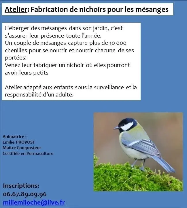 Atelier CONSTRUCTION D'un Nichoir à Mésanges