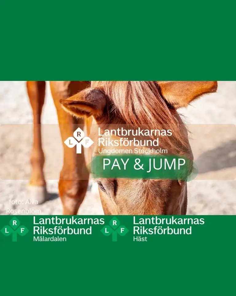 Pay & jump 🐴🐴