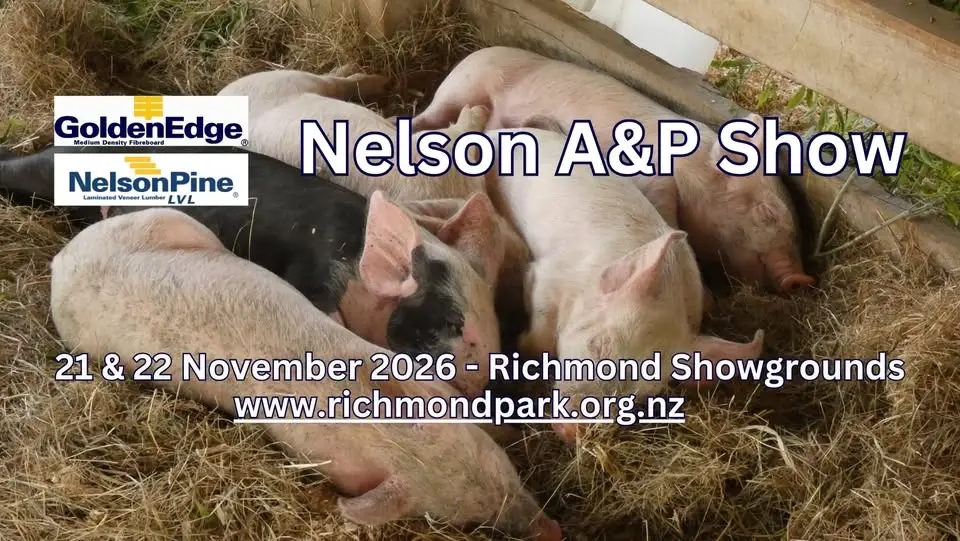 Nelson A&P Show - Golden Edge 2025