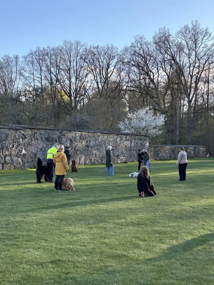Ringträning i Hässleholm