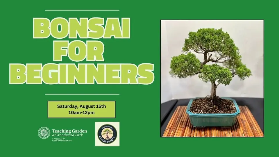 Bonsai for Beginners