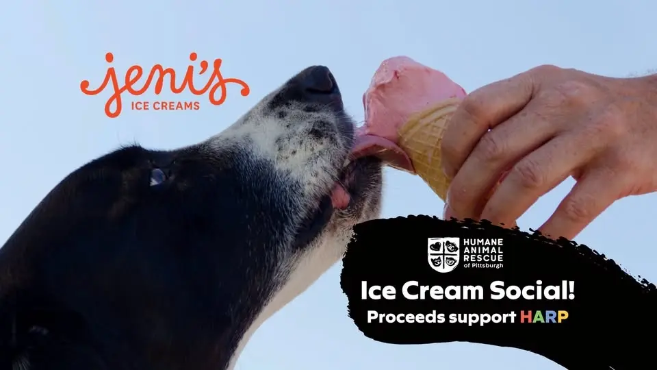 Ice Cream Social