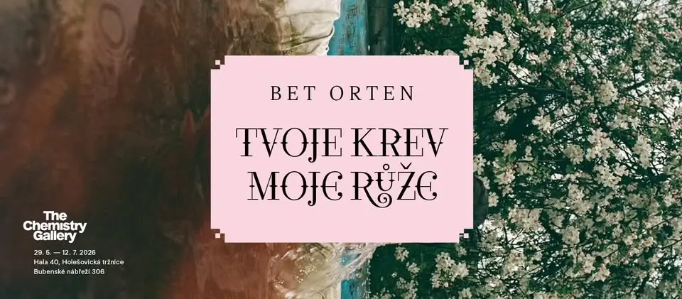 Komentovaná prohlídka výstavy Bet Orten: TVOJE KREV / MOJE RŮŽE