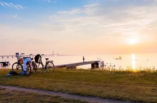 Sommaryoga på Ribban med Studio Frid