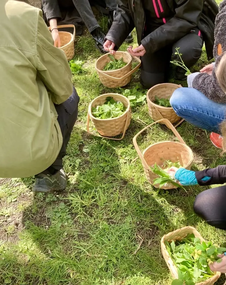 Smaka på skogen