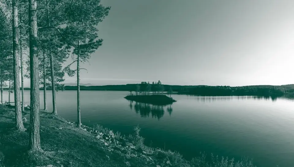 Sommarnattens toner
