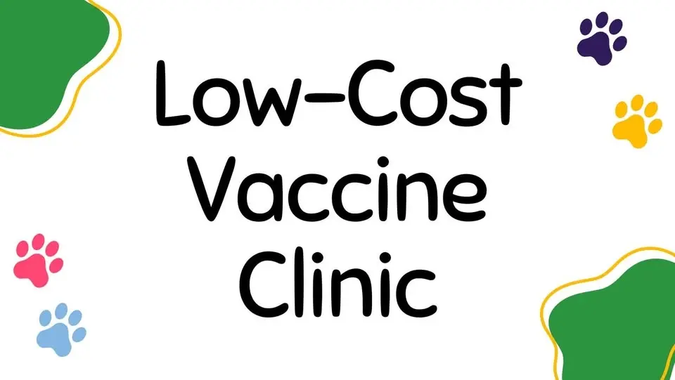 Low-Cost Vaccine Clinic