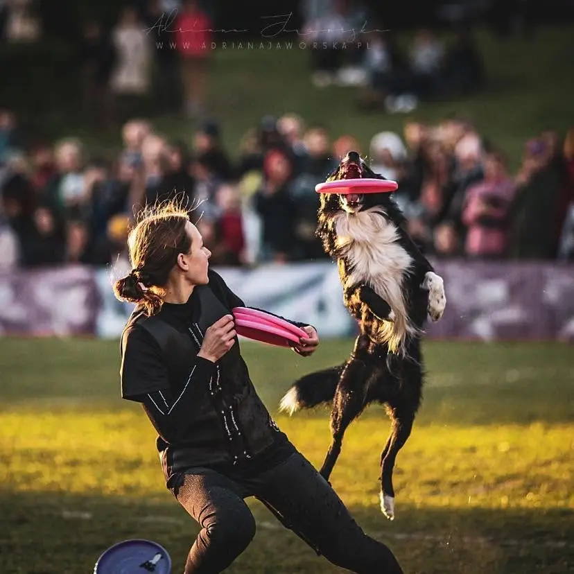 Seminarium dogfrisbee z Wiktorią Świtoń