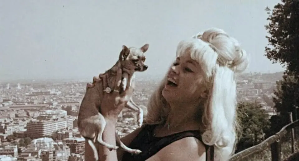 The Wild, Wild World of Jayne Mansfield (1968)