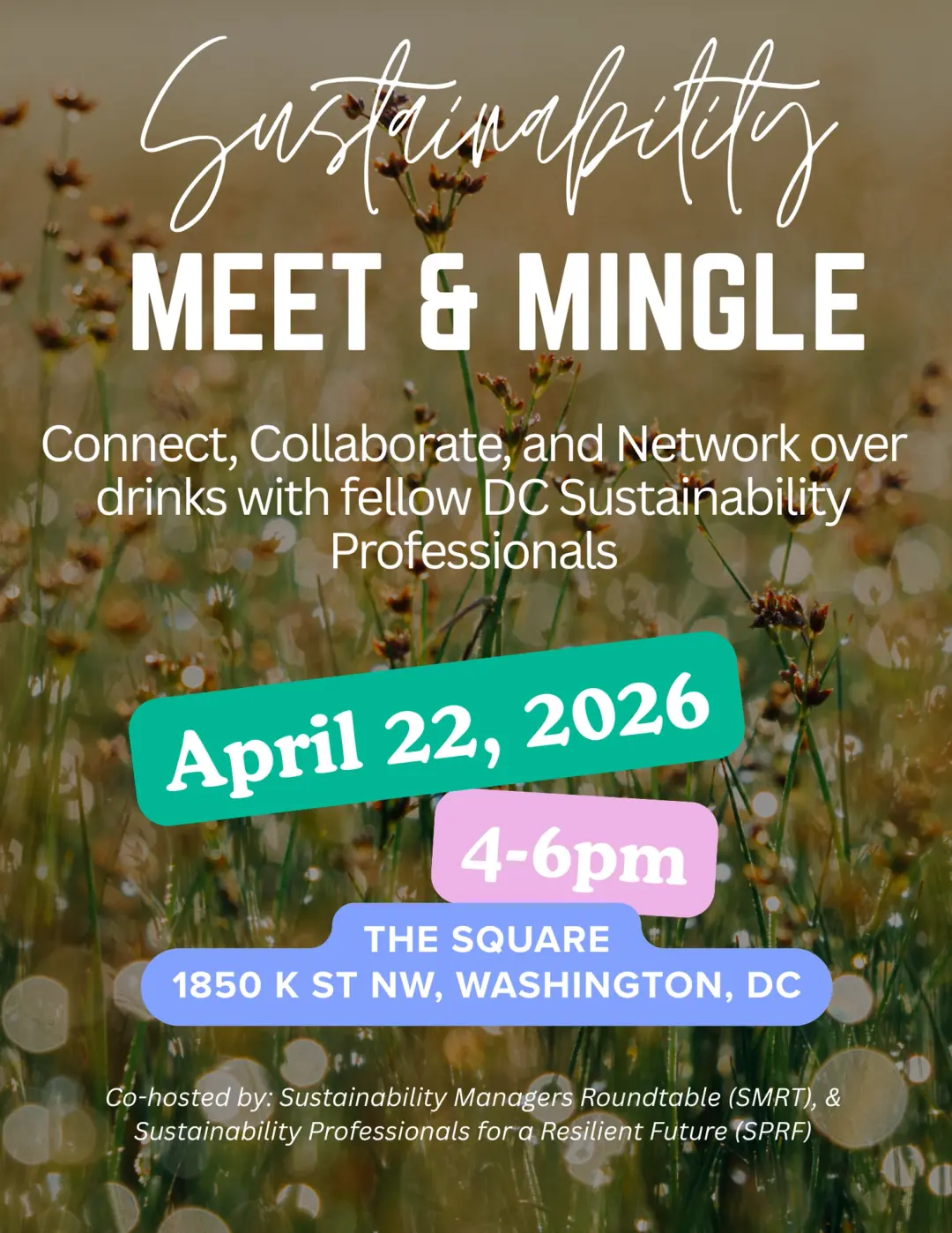 Sustainability Meet & Mingle
