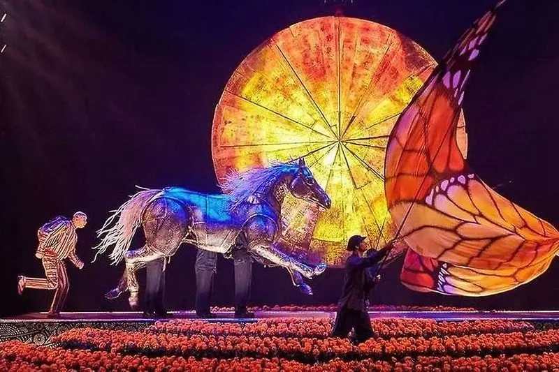Cirque du Soleil: Luzia