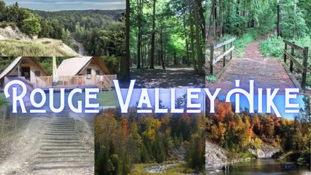 🍂 Fall Walk: Rouge National Urban Park and Picnic🌳