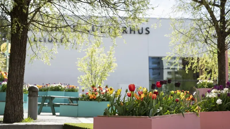 Läsutmaningar på Handens bibliotek