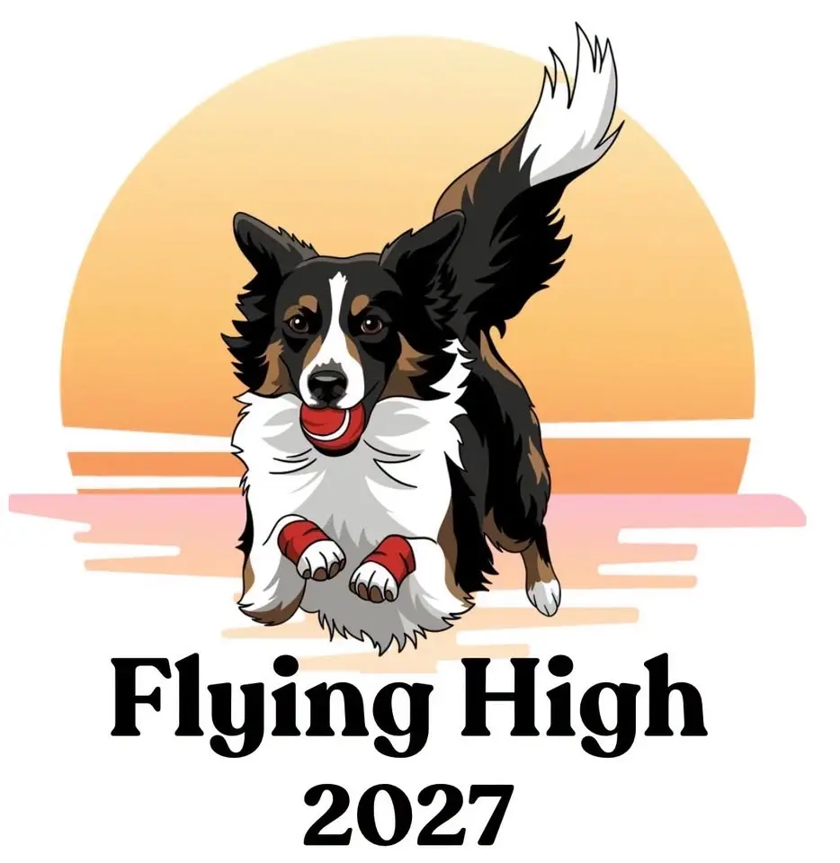 Flying High Again 2027