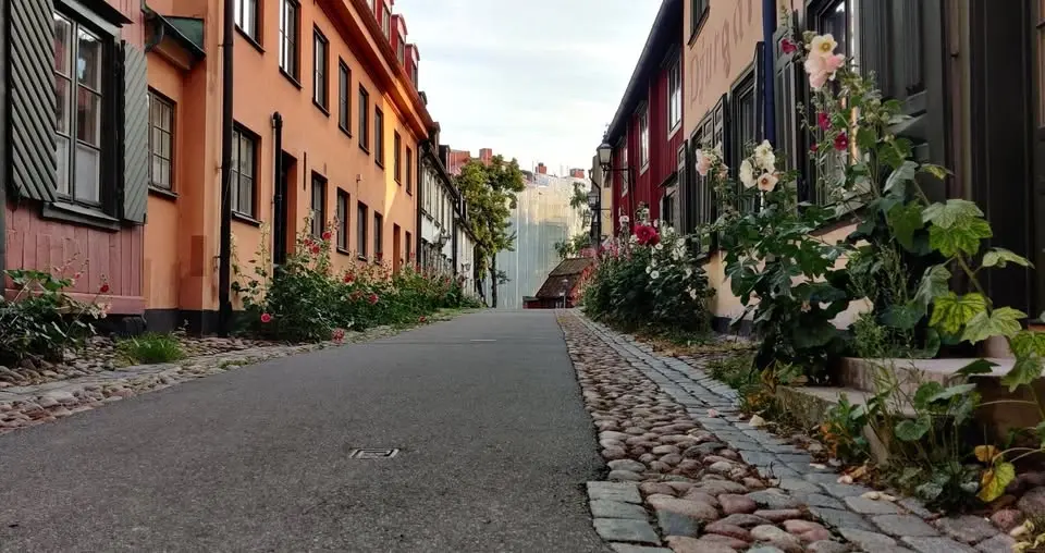 Matpromenad på Djurgården