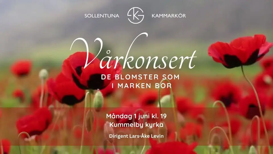 Vårkonsert