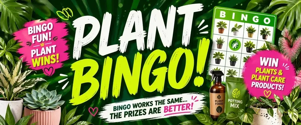 🪴Plant Bingo🪴