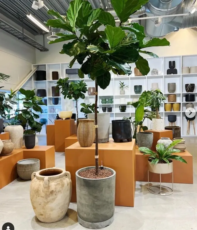 Öppet växthus Luwasa Greenstyling Stockholm 2026