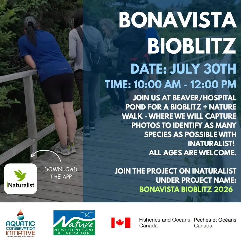 Bonavista BioBlitz At Beaver Pond
