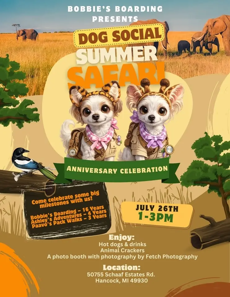 Bobbie's Boarding: Summer Safari Dog Social