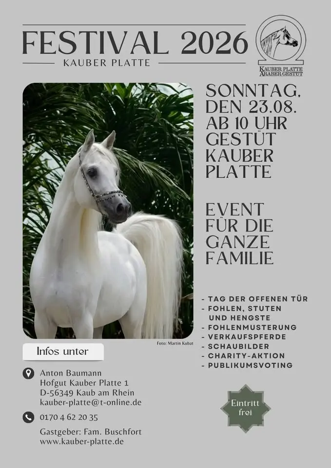 Kauber Platte Festival
