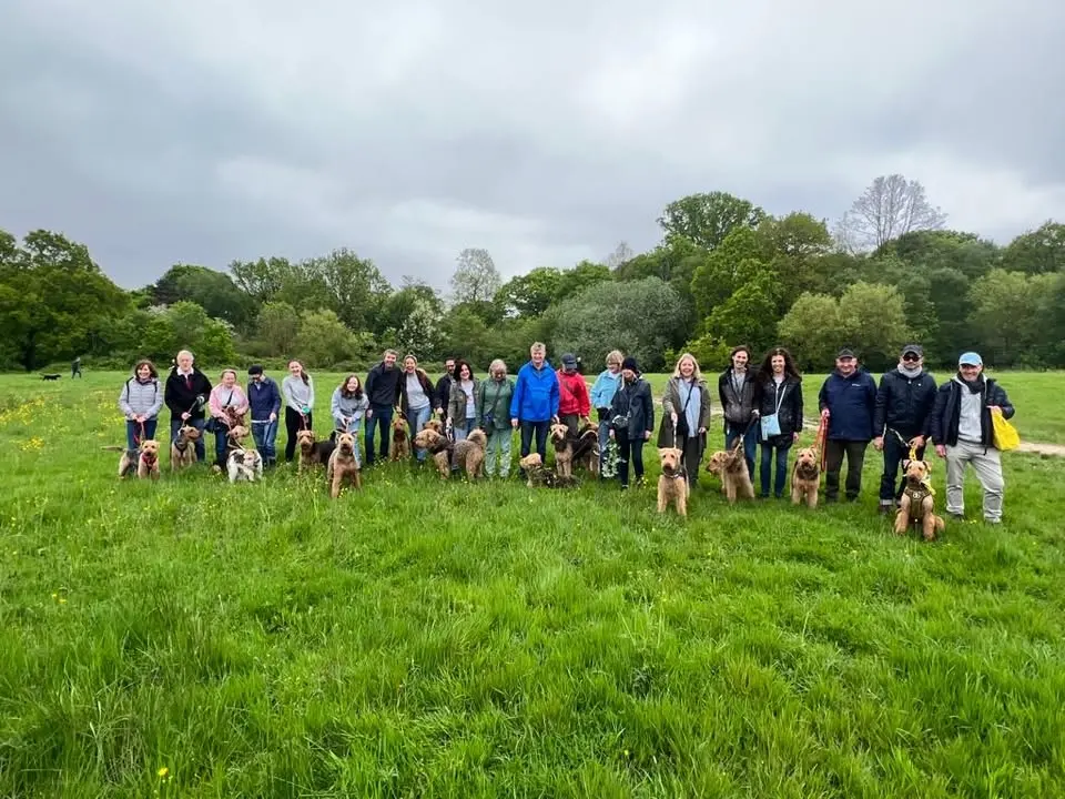 Hampstead Heath Walk with Rufus and Friends