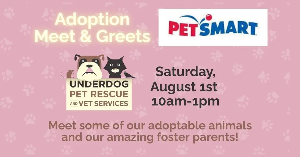 Adoptable Pets at PetSmart Madison East!