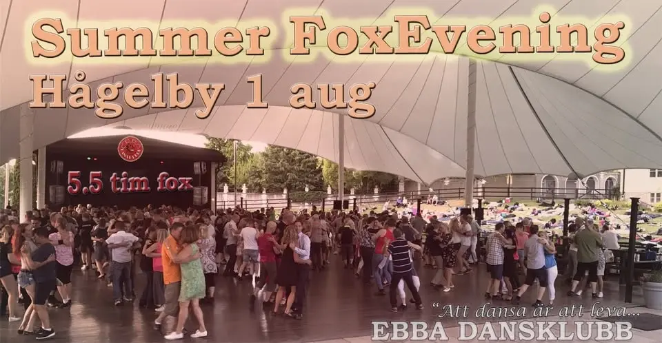 Summer FoxEvening – 1 aug