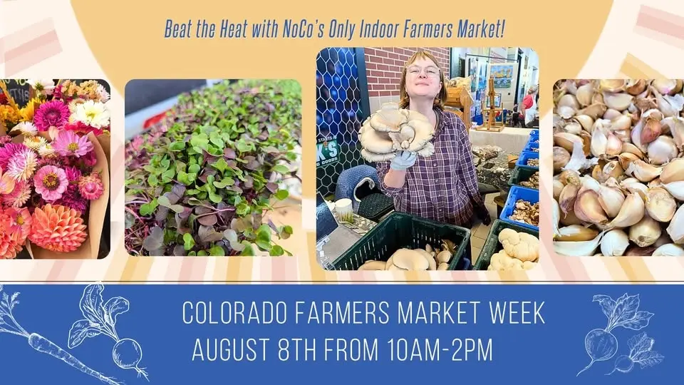 Fort Collins' Indoor Summer Market