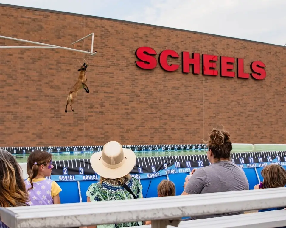 DockDogs® at Dog Days of Summer | Minot ND