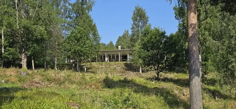 Tacokväll