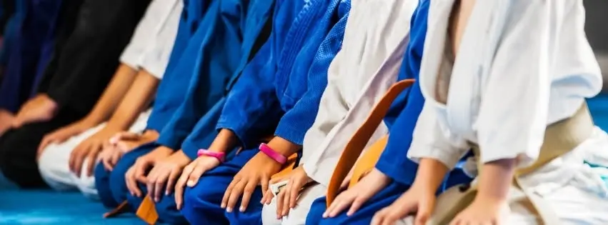 Martial Arts Classes (Ages 12-15) [100 DAYS OF SUMMER]