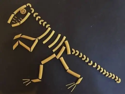 Dinosaur Skeletons
