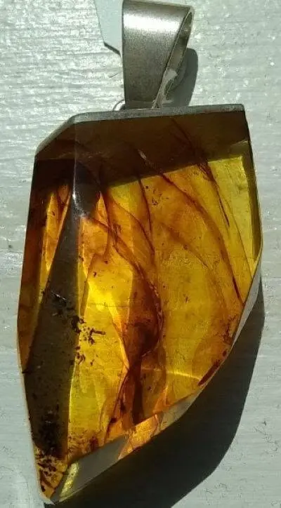 AmberTree@Farmer's Market Annex