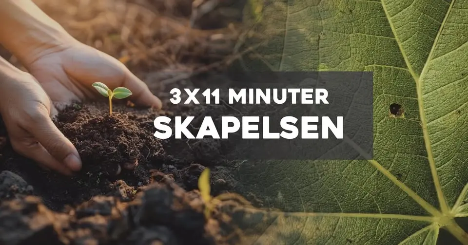 3x11 MINUTER: SKAPELSEN
