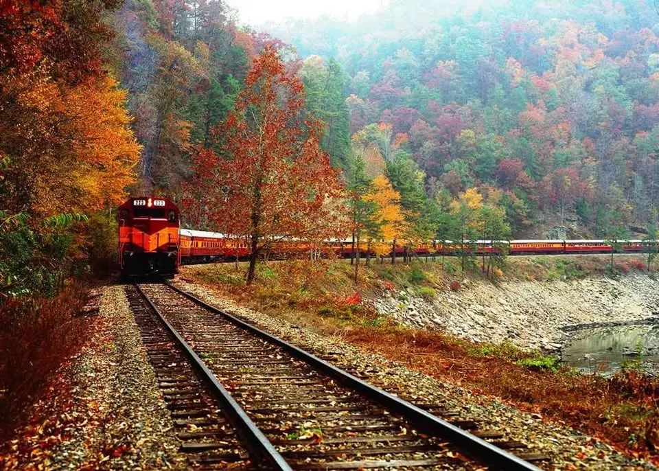 Fall Foliage - North Carolina