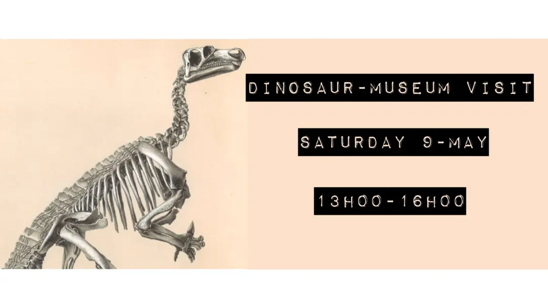 Dinosaur Museum Visit - Guided Tour