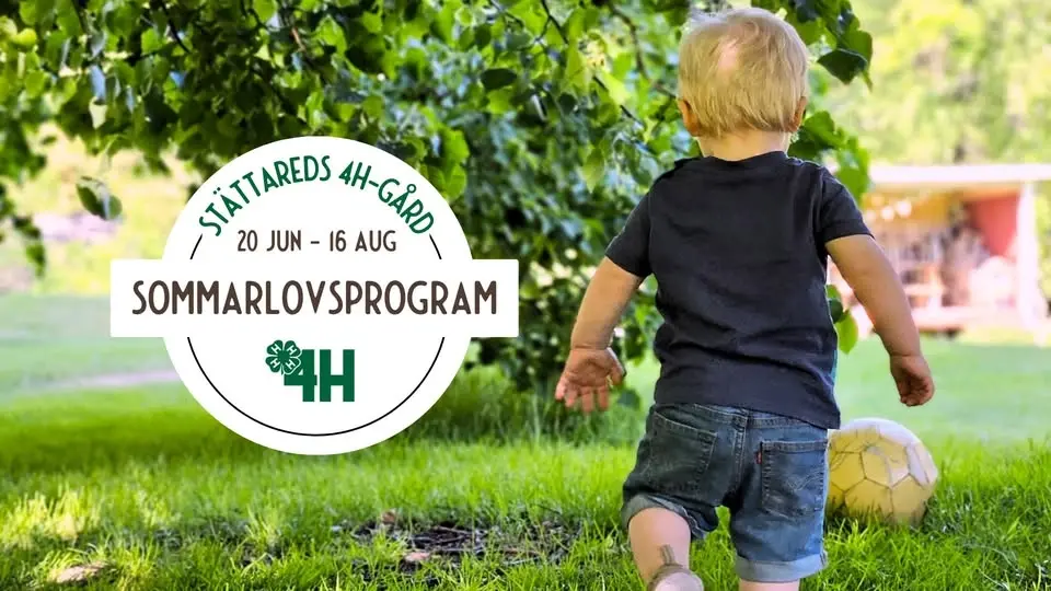 Sommarprogram • 20 juni - 16 aug