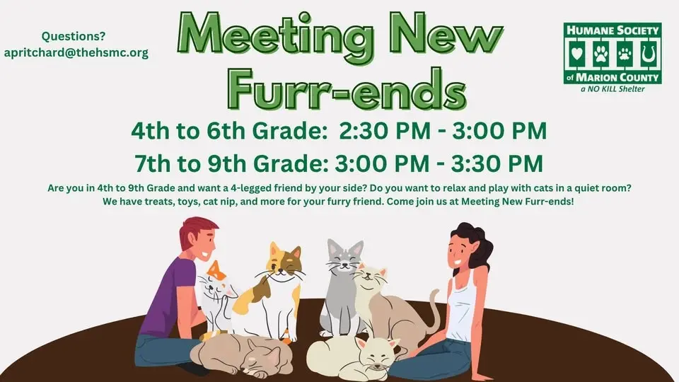 Meeting New Furrends