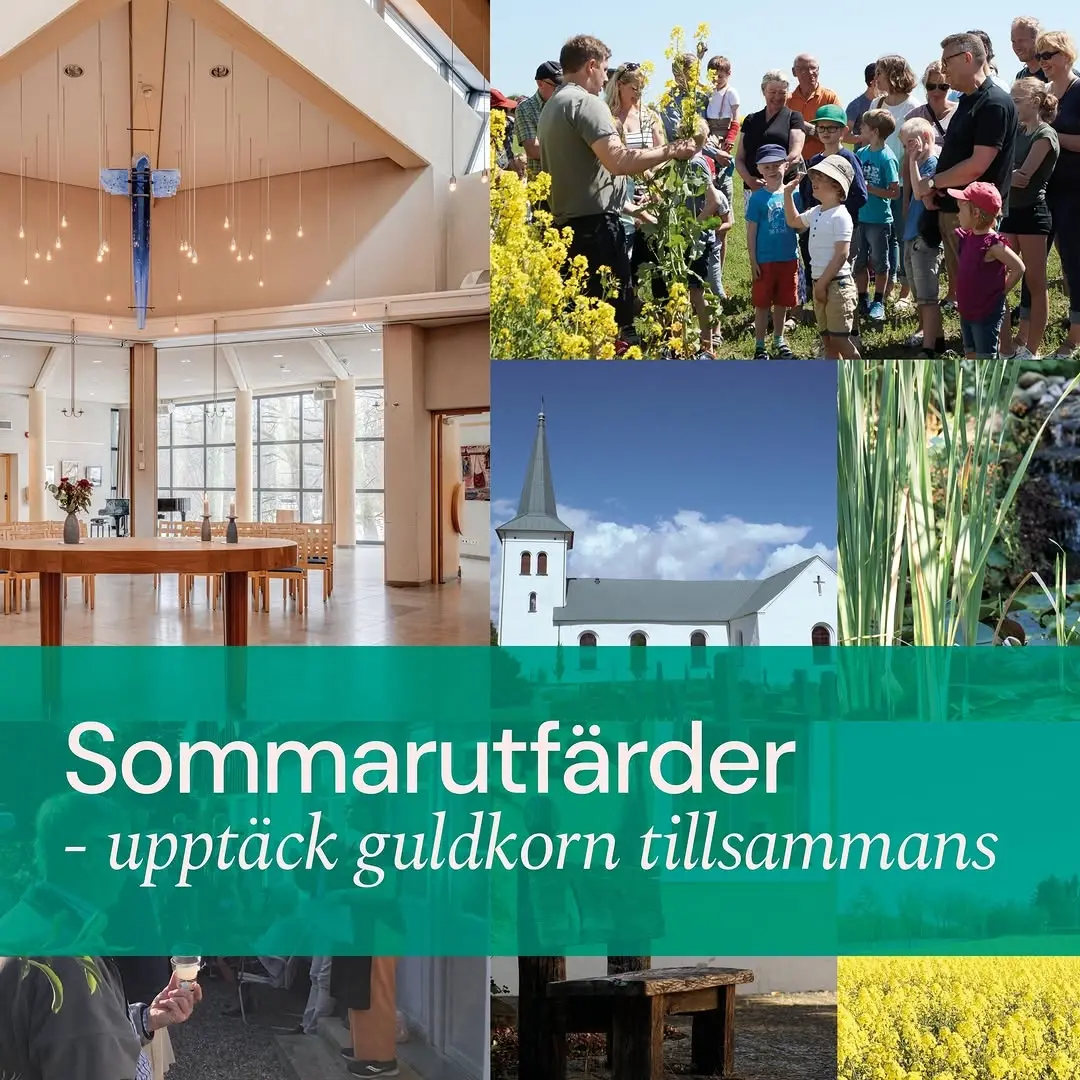 Sommarutfärd: Biodling, kultur och historia - Villa Blomstergren och Trelleborgs museum