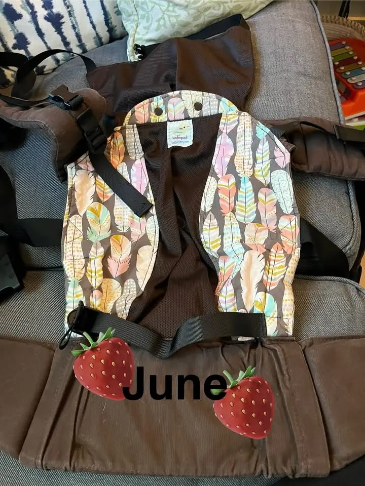 Babywearing meetup - North Seattle