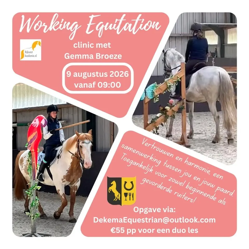 Working Equitation Clinic met Gemma Broeze