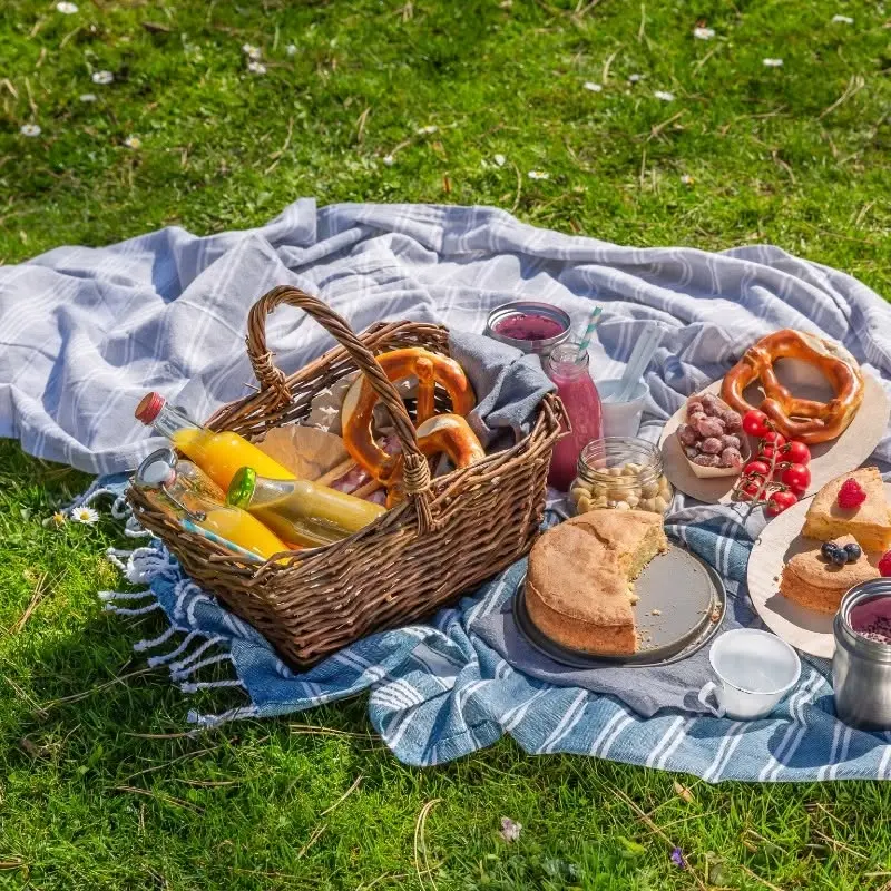 Tu B'Av Love Songs & Picnic