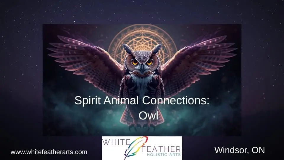Spirit Animal Connections: Owl