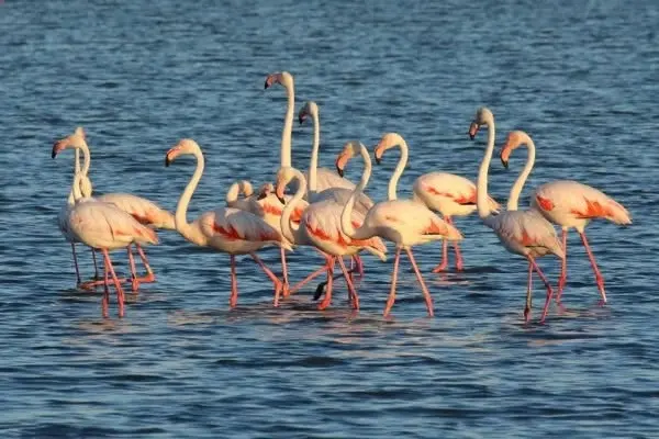 Le luci della Salina: escursione fotografica