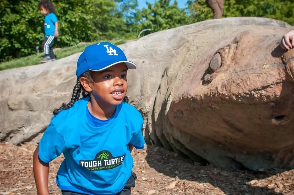 Tough Turtle Junior